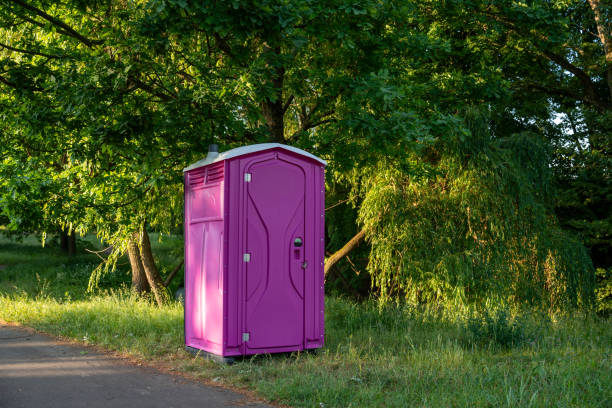 Best Luxury portable toilet rental  in Virginia, MN